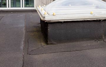 disadvantages of Summerfield Park flat roofs