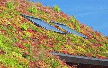 Summerfield Park living roof systems